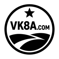 vk8 BTG